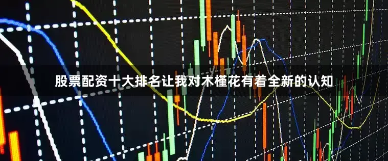 股票配资十大排名让我对木槿花有着全新的认知