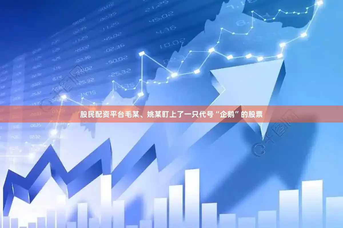 股民配资平台毛某、姚某盯上了一只代号“企鹅”的股票